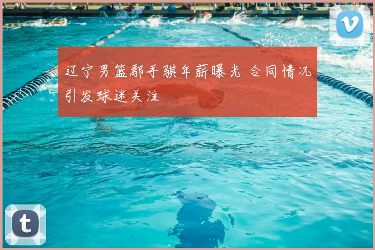 辽宁男篮鄢手骐年薪曝光 合同情况引发球迷关注