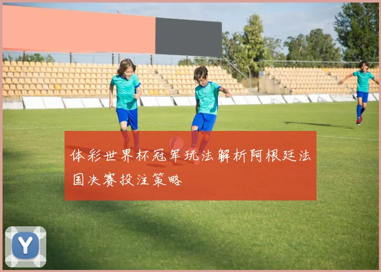 体彩世界杯冠军玩法解析阿根廷法国决赛投注策略