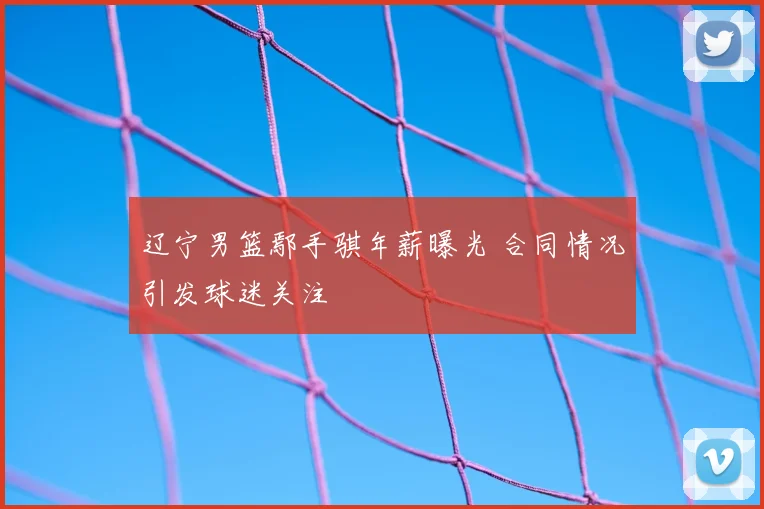 辽宁男篮鄢手骐年薪曝光 合同情况引发球迷关注