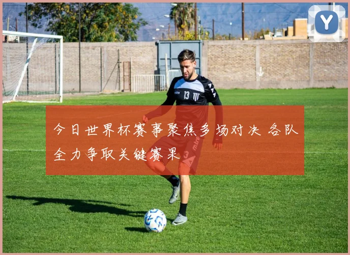 今日世界杯赛事聚焦多场对决 各队全力争取关键赛果